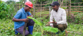 @Axel Fassio/CIFOR @Axel Fassio/CIFOR